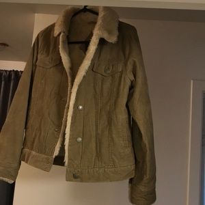 Inside Fur Brow and Tan coat